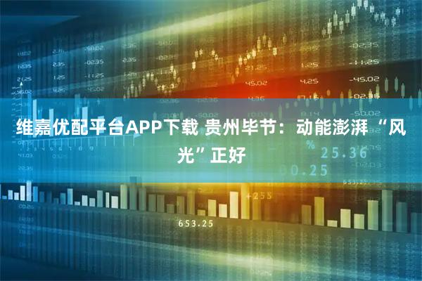 维嘉优配平台APP下载 贵州毕节：动能澎湃 “风光”正好