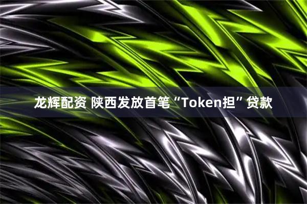 龙辉配资 陕西发放首笔“Token担”贷款